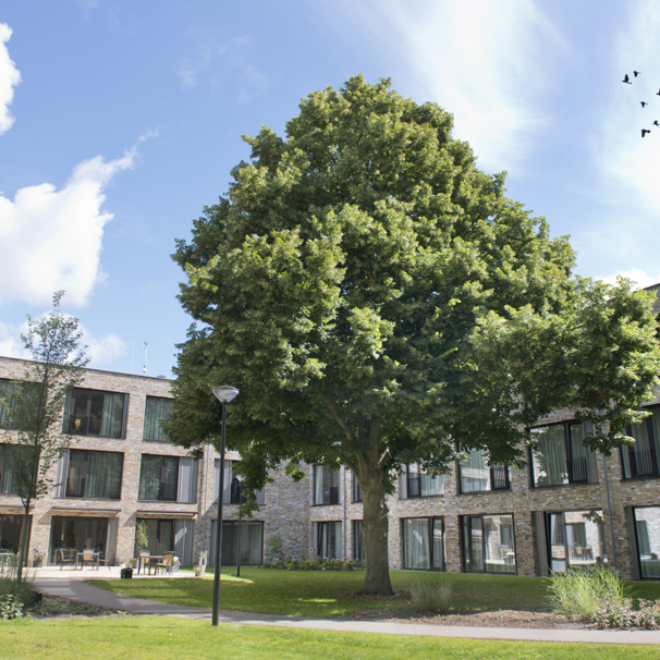 De tuin en het gebouw van woonzorgcentrum Anna Heuvel Bij woonzorgcentrum Anna Heuvel is plek voor 60 ouderen die veel (lichamelijke) zorg nodig hebben (verpleeghuiszorg).